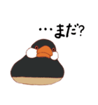 自由気ままなブンチョッチョ（個別スタンプ：21）