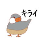 自由気ままなブンチョッチョ（個別スタンプ：40）