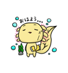 ウーパールーパーウパコ（個別スタンプ：1）