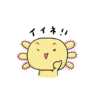ウーパールーパーウパコ（個別スタンプ：7）