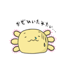 ウーパールーパーウパコ（個別スタンプ：18）