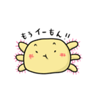 ウーパールーパーウパコ（個別スタンプ：34）