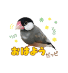 ポメラニアンのレオンとゆかいな仲間たち（個別スタンプ：24）