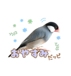 ポメラニアンのレオンとゆかいな仲間たち（個別スタンプ：25）