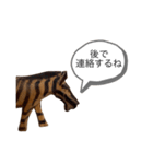 サファリの木製どうぶつたち（個別スタンプ：14）
