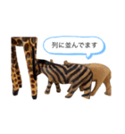サファリの木製どうぶつたち（個別スタンプ：16）