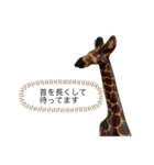 サファリの木製どうぶつたち（個別スタンプ：17）