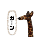 サファリの木製どうぶつたち（個別スタンプ：19）