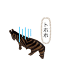 サファリの木製どうぶつたち（個別スタンプ：26）