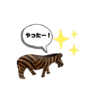 サファリの木製どうぶつたち（個別スタンプ：27）