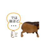 サファリの木製どうぶつたち（個別スタンプ：29）