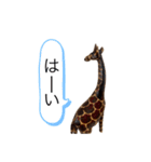 サファリの木製どうぶつたち（個別スタンプ：30）