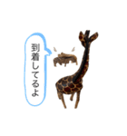 サファリの木製どうぶつたち（個別スタンプ：34）