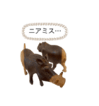 サファリの木製どうぶつたち（個別スタンプ：37）