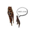 サファリの木製どうぶつたち（個別スタンプ：40）