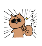 もりのリス日常編（個別スタンプ：34）