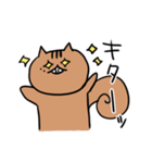 もりのリス日常編（個別スタンプ：36）