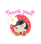 猫のスタンプฅ(^^ฅ) vol.2.1（個別スタンプ：7）