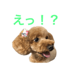 といぷーのあちゃん（個別スタンプ：1）