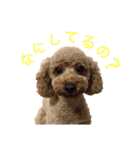 といぷーのあちゃん（個別スタンプ：3）