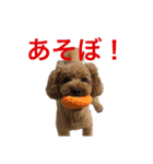 といぷーのあちゃん（個別スタンプ：5）