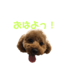 といぷーのあちゃん（個別スタンプ：15）