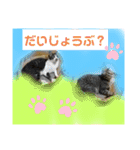 かぐやの気持ち（個別スタンプ：1）