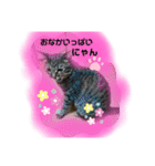 かぐやの気持ち（個別スタンプ：3）