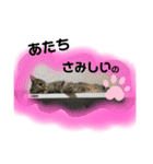 かぐやの気持ち（個別スタンプ：4）