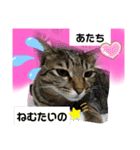 かぐやの気持ち（個別スタンプ：11）