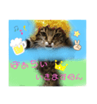 かぐやの気持ち（個別スタンプ：13）