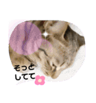 かぐやの気持ち（個別スタンプ：14）