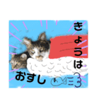 かぐやの気持ち（個別スタンプ：15）