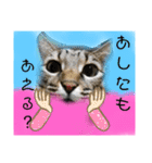かぐやの気持ち（個別スタンプ：16）