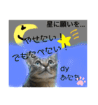 かぐやの気持ち（個別スタンプ：24）