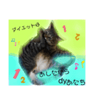 かぐやの気持ち（個別スタンプ：28）