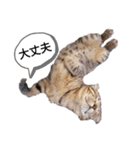 ミモザさんスタンプショップ5（個別スタンプ：3）