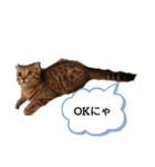 ミモザさんスタンプショップ5（個別スタンプ：11）