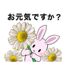 ❤️可愛いピンクウサギちゃんと綺麗な花❤️（個別スタンプ：3）
