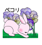 ❤️可愛いピンクウサギちゃんと綺麗な花❤️（個別スタンプ：25）