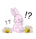 ❤️可愛いピンクウサギちゃんと綺麗な花❤️（個別スタンプ：27）
