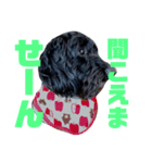 真っ黒ダップー3（個別スタンプ：4）