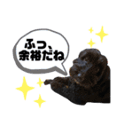 真っ黒ダップー3（個別スタンプ：10）