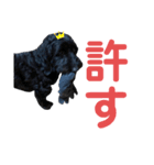 真っ黒ダップー3（個別スタンプ：13）