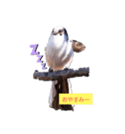 野鳥エナガスタンプその1（個別スタンプ：6）