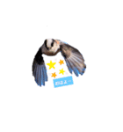 野鳥エナガスタンプその1（個別スタンプ：7）