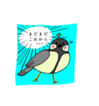 40から輝く（個別スタンプ：4）