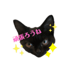 うにのかわかわスタンプ（個別スタンプ：10）