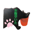 うにのかわかわスタンプ（個別スタンプ：12）