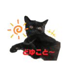 うにのかわかわスタンプ（個別スタンプ：14）